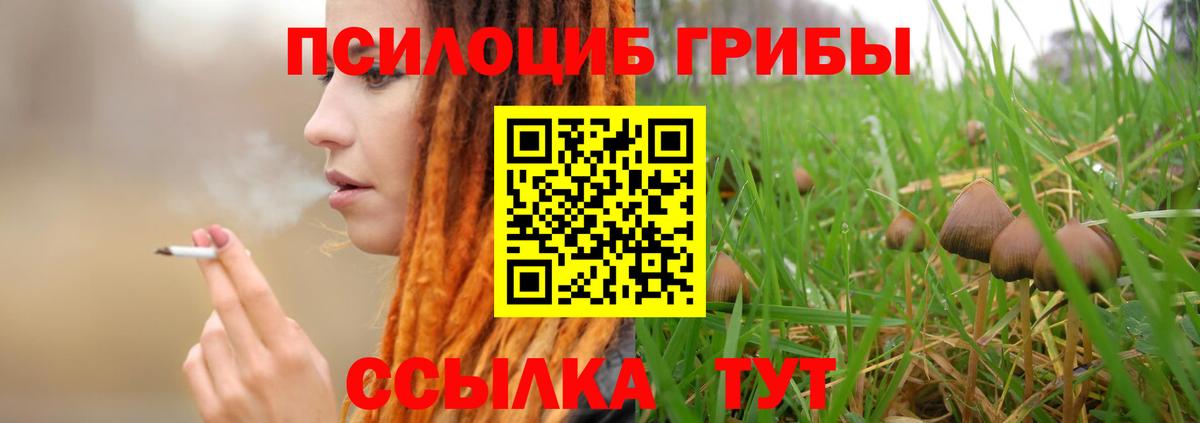Галлюциногенные грибы Magic Shrooms Красноармейск